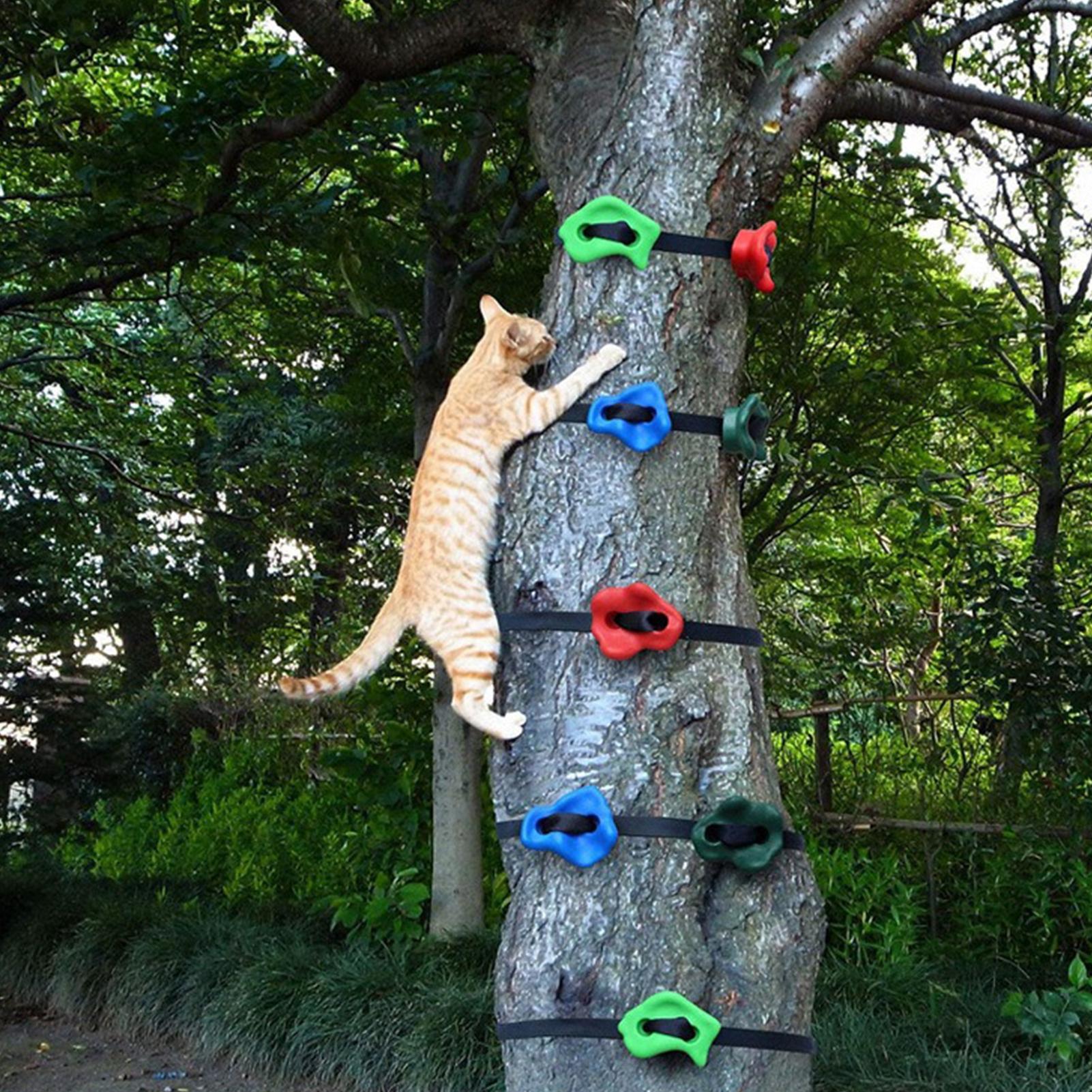 Outdoor Climbing Toys Adjustab - đánh giá và giá Outdoor Adventure Course